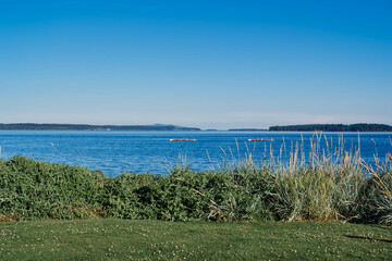 Fototapeta premium Two red rowing boats glide across the calm ocean near Sidney, Vancouver Island, with green grass and coastal plants in the foreground.