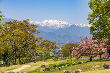 北アルプスと桜が広がるあづみ野池田クラフトパークの春景色
