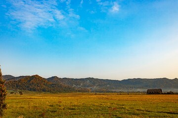 Obraz premium Golden Field Beneath Blue Sky.