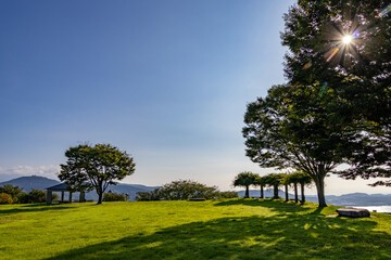 太陽の光が反射している公園の風景