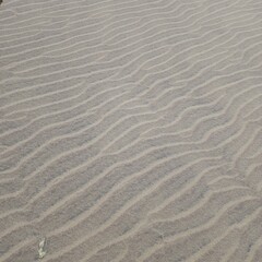 Natural sand ripples on the beach