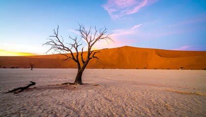 A lone, leafless tree stands sentinel against the backdrop of a vast, orange-hued sand dune, bathed in the soft light of sunrise.