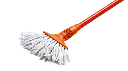 Small Brush Floor Mop