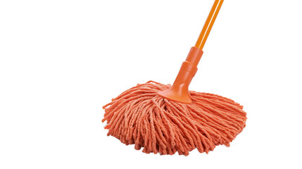 Dual Head Cleaning Mop