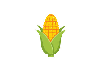 Single Ear of Corn, Close-up Studio Shot, Yellow and Green Maize isolated on transparent background