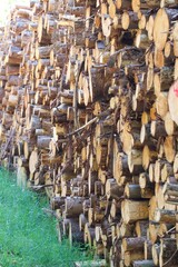 firewood in a pile, timber production