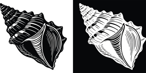 Stunning monochrome seashell illustration for coastal designs and summer themed projects, elegant ocean vibe