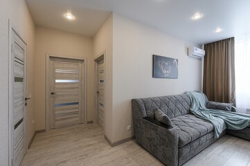 Cozy apartment interior featuring a grey sofa with a teal blanket, light wood flooring, and multiple doors in a neutral color palette