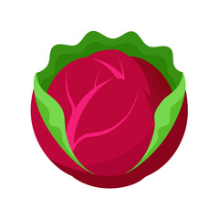 red rose isolated on white