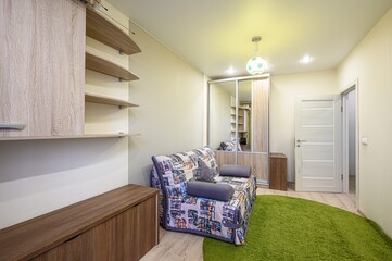 Cozy room with a patterned sofa, green rug, mirrored wardrobe, and shelves. The walls are light, and there's a plant in the corner