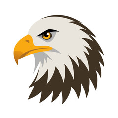 Fototapeta premium bald eagle vector illustration
