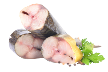 Smoked fish mackerel isolated