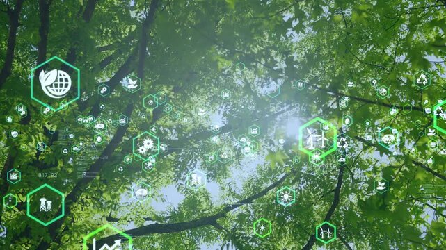 environment, nature, gx, sx, sdgs, sustainable, sustainability, technology, development, green tech, carbon neutral, decarbonized society, green, ecology, ecosystem, global environment, environmental 
