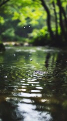 Naklejka premium Rippled creek water, lush forest backdrop