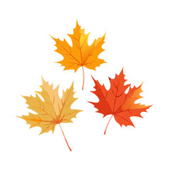 Fototapeta premium Psd Maple Leafs Trees Colours Vibrant Autumn Seasonal Cut Out Transparent Backgrounds