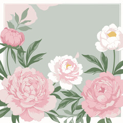 Delicate pink and white peony floral design in a soft gray background. Beautiful blossoms in a timeless botanical arrangement.