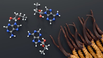 A 3d rendering of cordycepin molecules and cordyceps sinensis. The bioactive compound that is the most studied and pharmacologically significant component of Cordyceps.