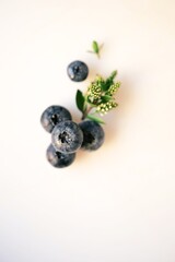 Close-up of fresh blueberries with greenery on light background. Ideal for use in cake and dessert decoration, pastry styling, and bakery-themed visual content.