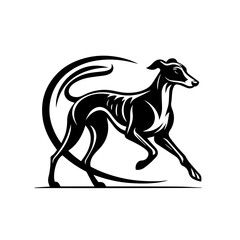 Obraz premium Elegant greyhound dog running silhouette isolated on white background