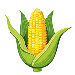Obraz premium Corn cob vector color illustration. Image of agricultural crop on isolated background for packaging and design