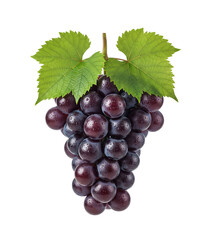 Fototapeta premium Purple grape bunch with leaves isolated on transparent background