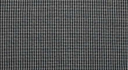 Fototapeta premium Monochrome Grid Pattern: A Classic Black and White Textile Texture Design