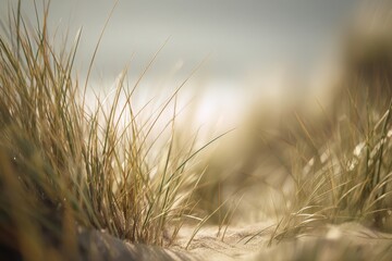 Fototapeta premium Close-Up View of Beach Grass Blades on Sandy Dune with Soft Focus
