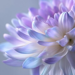 Fototapeta premium Organic Nature Pastel Backdrop with Mint Green A close-up of a purple flower displaying intricate petal details and soft colors. Organic Nature Pastel Backdrop with Mint Green