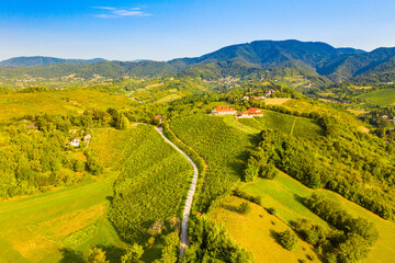 Obraz premium Picturesque landscape in Plesivica in Croatia, popular Croatian wine region and tourist destination