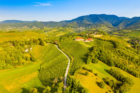 Picturesque landscape in Plesivica in Croatia, popular Croatian wine region and tourist destination