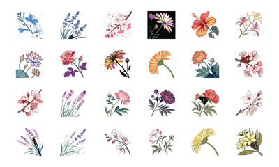 Set of 24 Beautiful Colorful Floral Illustrations Featuring Lavender, Lotus, Roses, Daisies, Gerbera, Hibiscus, Lilies, Peonies, Orchids, Cherry Blossoms, and Plumeria Flowers in Elegant Botanical Ar