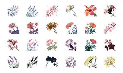Set of 24 Beautiful Colorful Floral Illustrations Featuring Lavender, Lotus, Roses, Daisies, Gerbera, Hibiscus, Lilies, Peonies, Orchids, Cherry Blossoms, and Plumeria Flowers in Elegant Botanical Ar