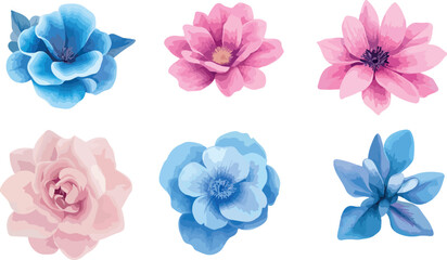 Collection of six delicate pastel blue and pink flowers isolated on white background