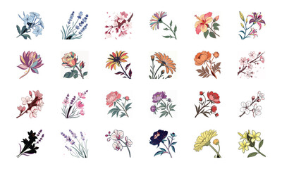 Set of 24 Beautiful Colorful Floral Illustrations Featuring Lavender, Lotus, Roses, Daisies, Gerbera, Hibiscus, Lilies, Peonies, Orchids, Cherry Blossoms, and Plumeria Flowers in Elegant Botanical Ar
