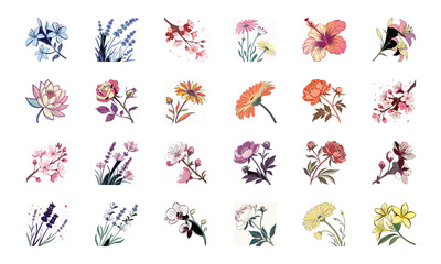 Set of 24 Beautiful Colorful Floral Illustrations Featuring Lavender, Lotus, Roses, Daisies, Gerbera, Hibiscus, Lilies, Peonies, Orchids, Cherry Blossoms, and Plumeria Flowers in Elegant Botanical Ar