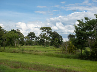The countryside in the Surin province of Isaan region of Thailand