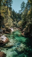 Turquoise river in a lush forest