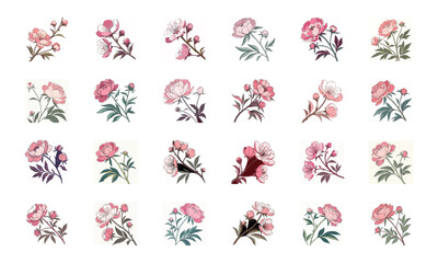 Set of 24 Beautiful Colorful Floral Illustrations Featuring Lavender, Lotus, Roses, Daisies, Gerbera, Hibiscus, Lilies, Peonies, Orchids, Cherry Blossoms, and Plumeria Flowers in Elegant Botanical Ar