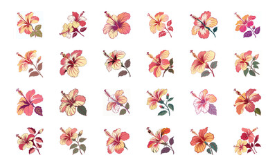 Set of 24 Beautiful Colorful Floral Illustrations Featuring Lavender, Lotus, Roses, Daisies, Gerbera, Hibiscus, Lilies, Peonies, Orchids, Cherry Blossoms, and Plumeria Flowers in Elegant Botanical Ar