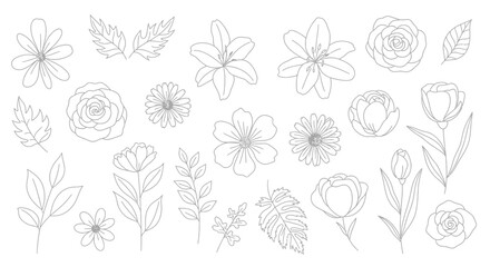 Set of hand-drawn botanical illustrations with various flowers and leaves. Elegant floral collection in a minimalist line art style.