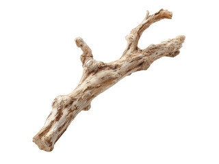 Dried twisted light brown wooden branch isolated on black, Isolated On White Background, Png Transparent