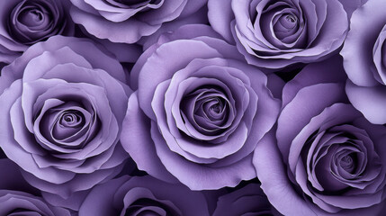Close up of vibrant purple roses showcases their delicate petals and intricate layers, creating sense of elegance and romance. rich color and soft texture evoke feeling of tranquility