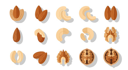 Assortment of Healthy Nuts Almonds, Cashews, and Walnuts Illustrated in a Flat Design Style with Soft Shadows, Perfect for Food and Nutrition Graphics.