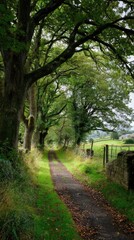 Obraz premium Tranquil autumn path in green forest