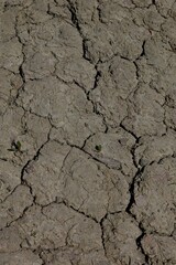 Closeup of dry cracked soil on a sunny spring day.