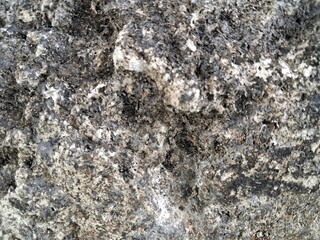 The image shows a close-up of a weathered, textured surface, likely concrete or stone, with cracks, dirt, and discoloration.

