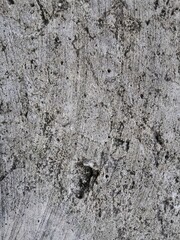 The image shows a close-up of a weathered, textured surface, likely concrete or stone, with cracks, dirt, and discoloration.
