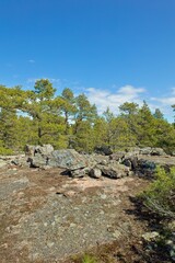Stones in a clearing in the forest on the island of Suuri-Pisi with clouds in the sky on a sunny spring day, Virolahti, Finland.