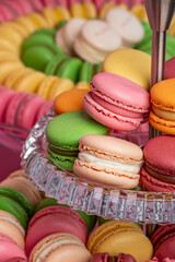 Elegant and Luxurious French Macarons in a Dubai Bakery