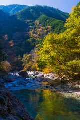 日本の風景・秋　長野県大桑村　紅葉の阿寺渓谷